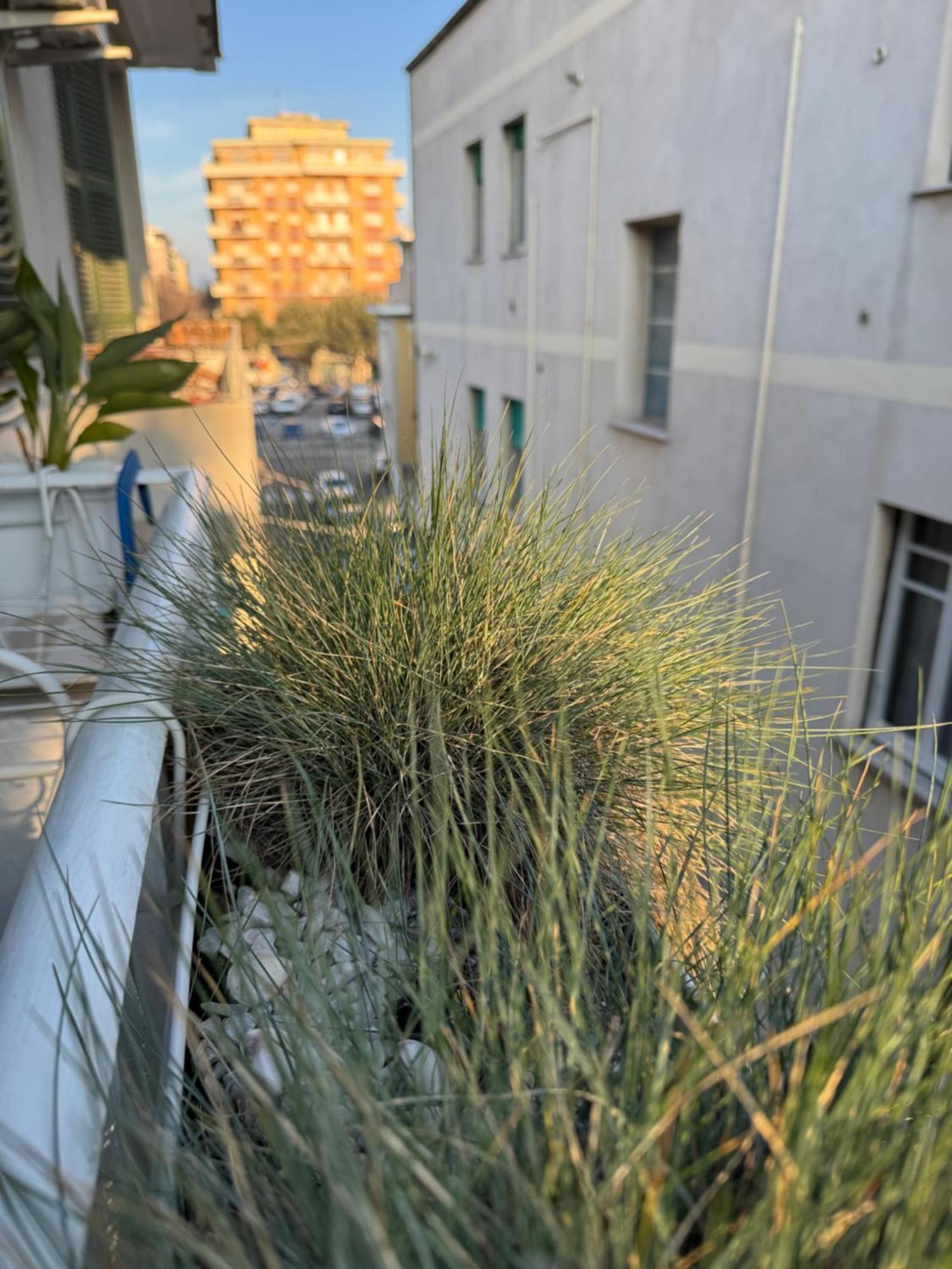 Okra Apartment Pescara Centro エクステリア 写真